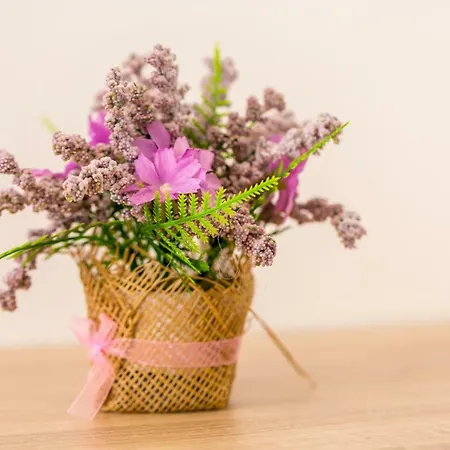 Laurea & Casia アパート プーラ