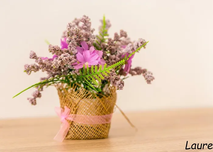 Laurea & Casia Apartment Pula